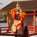Matsuri & Evènements