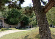 Cabin