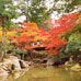 Momijidani Park