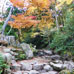 Momijidani river 