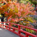 Momijidani Bridge