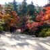 Momijidani Park