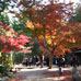 Fujinotana Park