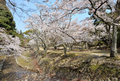 Omoto Park