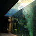 Grand aquarium