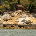 Rivages arrières de Miyajima