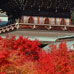 Temple Daisho-in, Momiji Matsuri