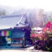 Temple Daisho-in