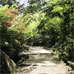 Chemin de promenade