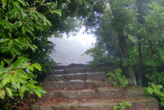 弥山登山路线（3条）