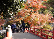 红叶谷公园