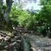 马醉木步道