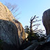 彌山山頂