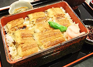 海鰻
