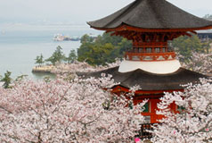 多寶塔
