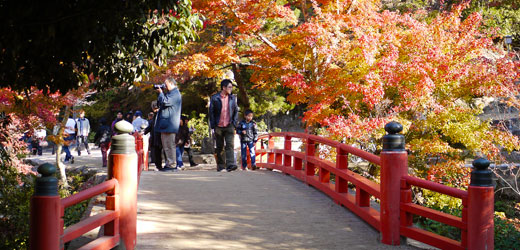 紅葉谷公園