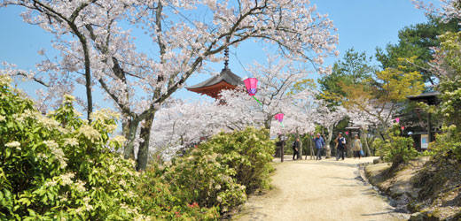 多寶塔