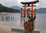大鳥居