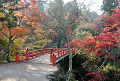 紅葉谷公園