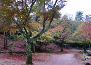 紅葉步道