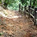 紅葉谷路線