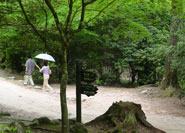 包浦自然步道