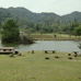 包浦自然公園