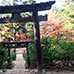紅葉步道