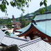 馬醉木步道