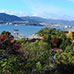 紅葉步道