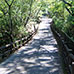 樹鶯步道